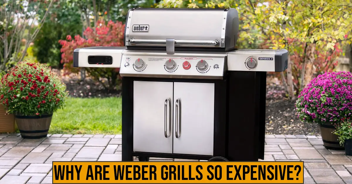 Why are Weber Grills So Expensive?