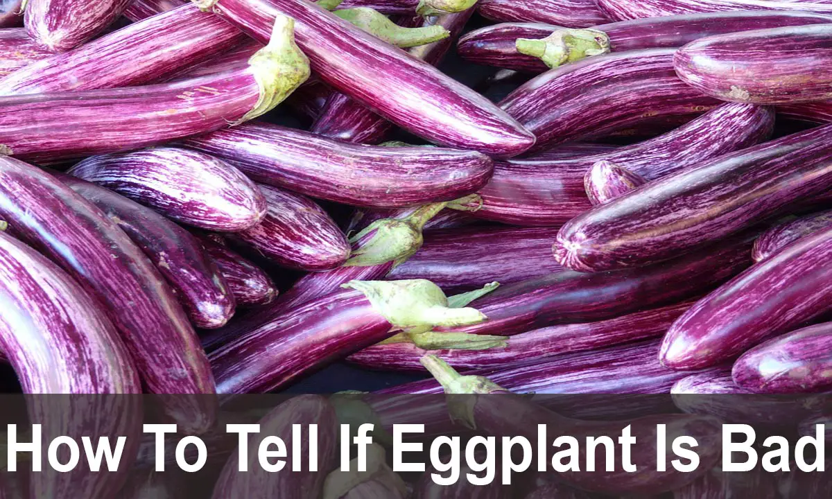 How To Tell If Eggplant Is Bad