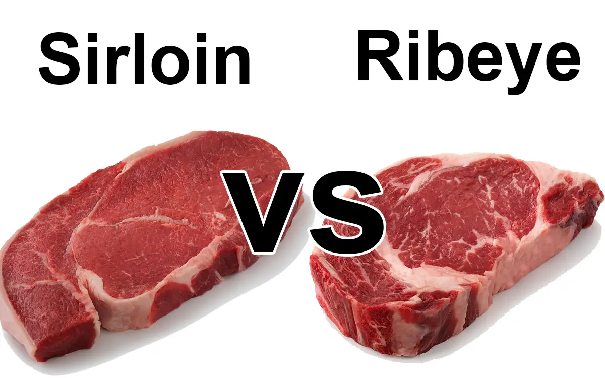 Sirloin vs Ribeye