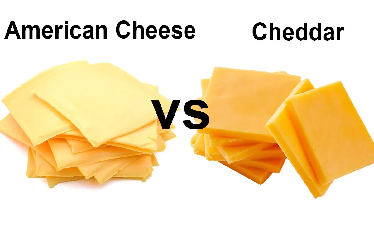 American Cheese vs Cheddar Cheese Differences Similarities