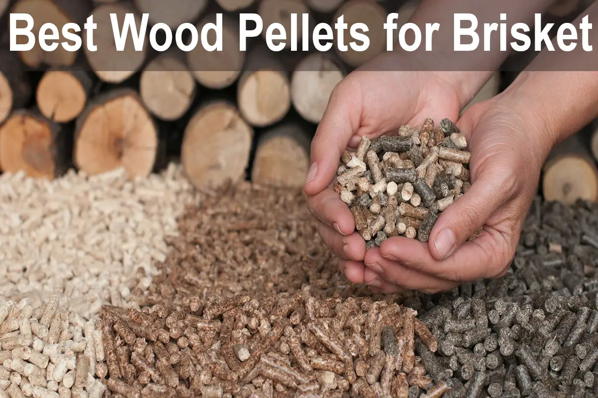 Best Wood Pellets for Smoking Brisket