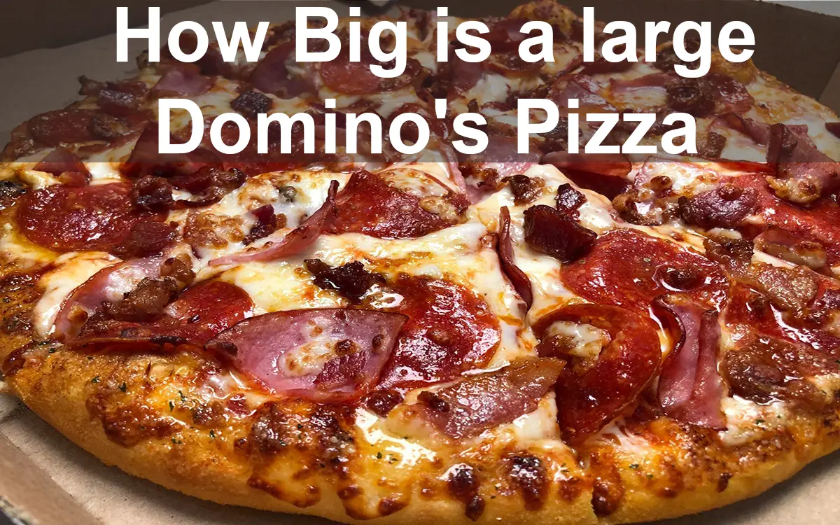 How Big is a large Domino's Pizza