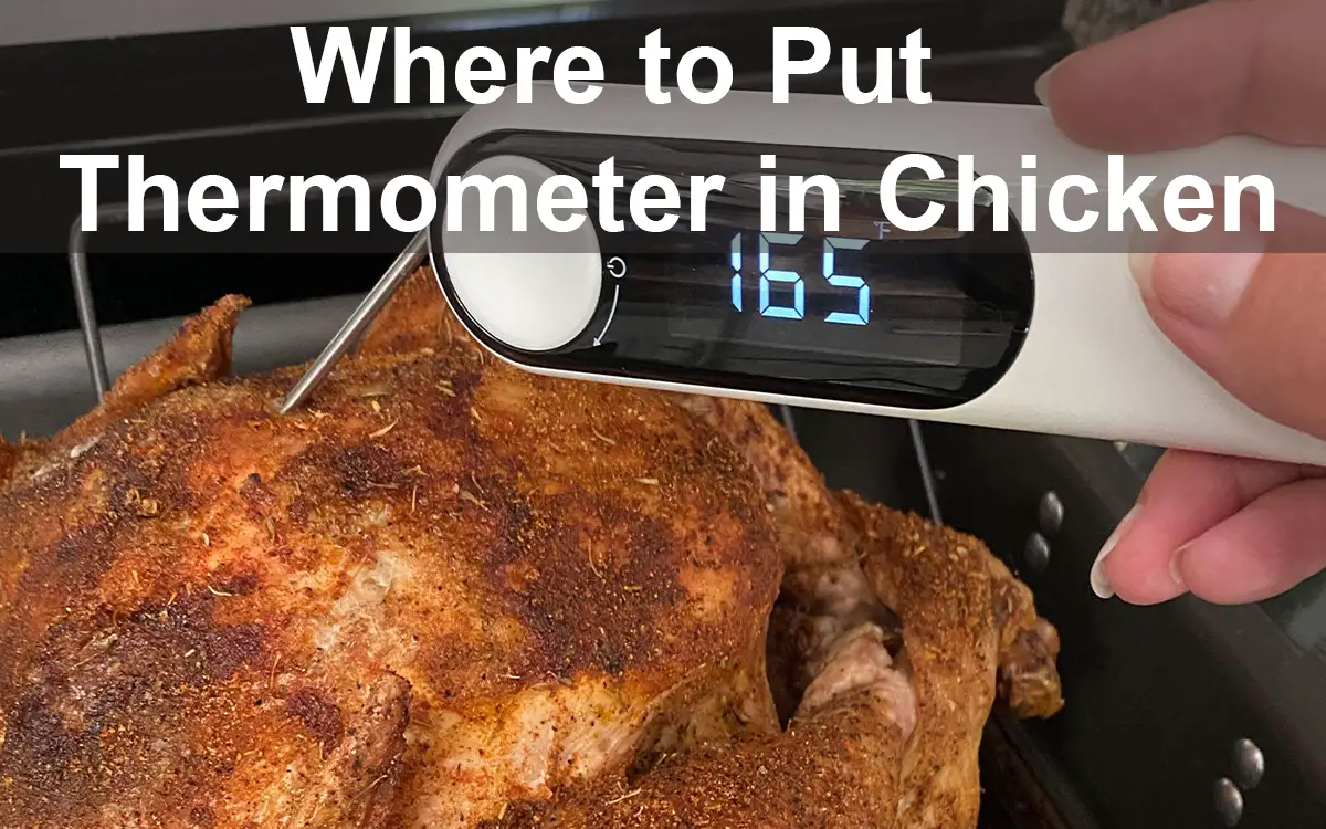 Where to Put Thermometer in Chicken