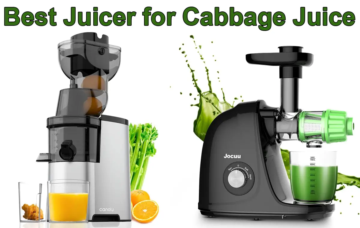 Best Juicer for Cabbage Juice