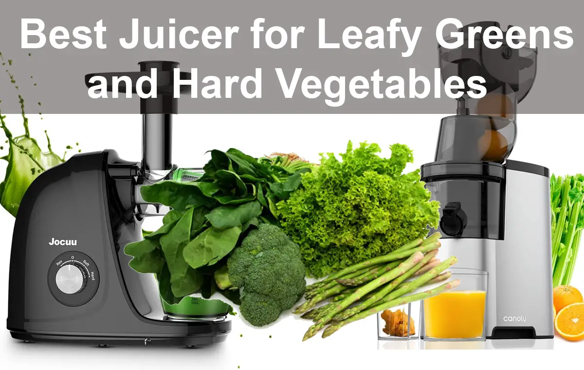 Best Juicer for Leafy Greens and Hard Vegetables