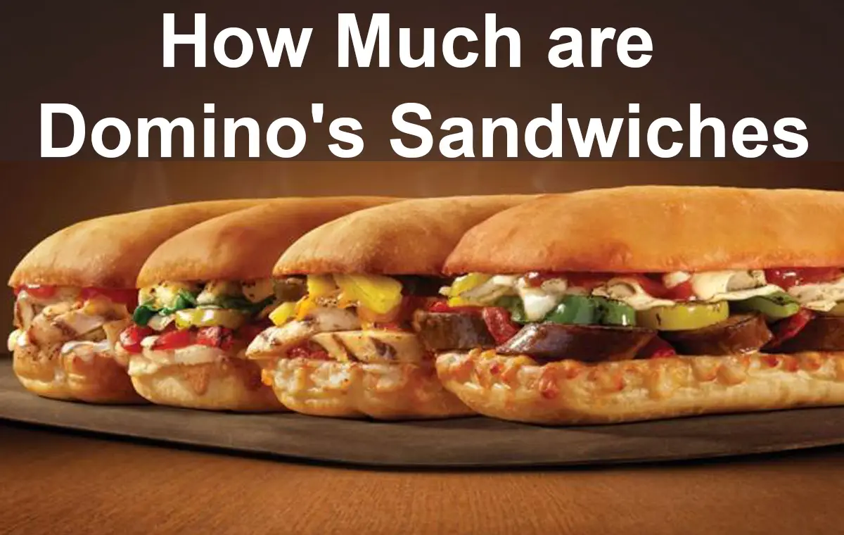 How Much are Domino's Sandwiches